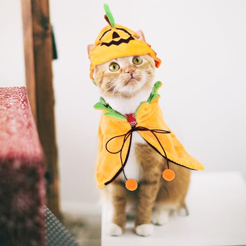 Disfraz Halloween para mascotas capa y sombrero 2 piezas miniatura 7