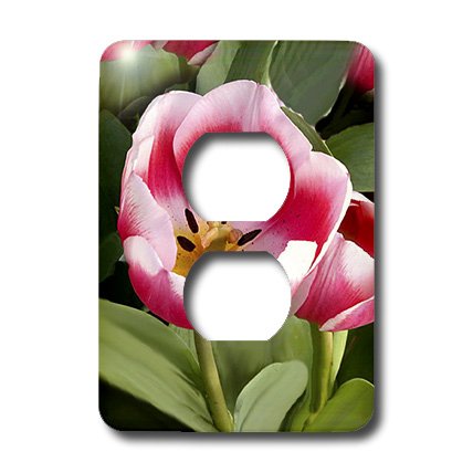 3dRose lsp_1206_6 Tulipes plaque décorative double durable - 3