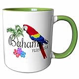 3dRose Bahamas Nassau Caribbean souvenir with tropical parrot and flowers. 11oz Two-Tone Green Mug