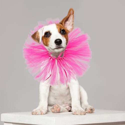 Conjunto disfraz para perro falda tutú y corona roja miniatura 5