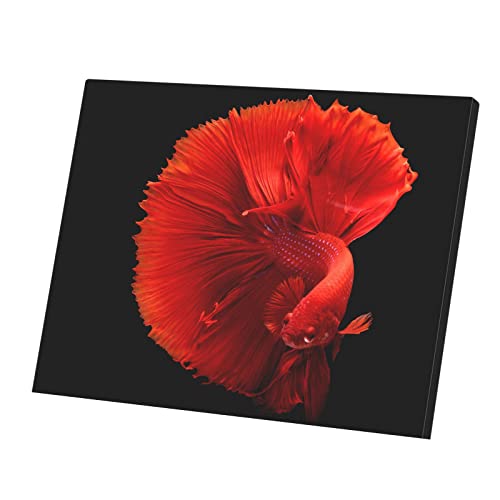 Poster Poisson Combattant Dragon Rouge Toile Imprimée Tableau Décoratif