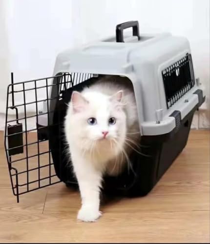 CLAUVAL Transportin para Perros-Transportin para Gatos de hasta 8 Kilos, Puerta y Ventanas de Metal para Casa, Coche,Avion