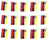 ZXvZYT Venezuela Venezuelans Flag Banner String,Small Mini Venezuela Pennant flags,For Grand...