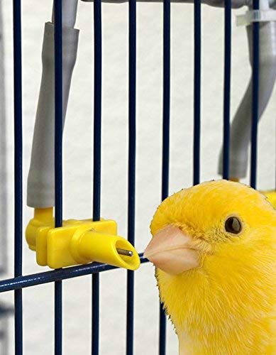 Copele 90821 Bebedero Canarios Automático