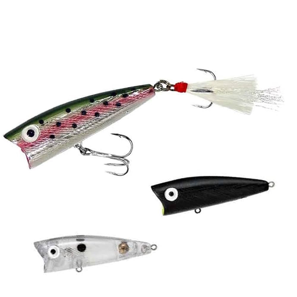 Amazon.co.jp: レーベル ポップR P60 スミスリミテッドカラー