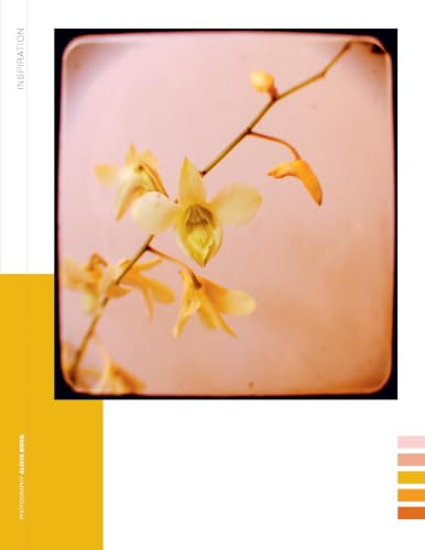 Paper Book for Nature Lovers – vue 6