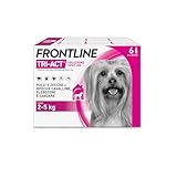 Frontline Triact, 6 Pipette, Cane XS (2-5Kg), Antiparassitario Per Cani E Cuccioli Di Lunga Durata, Protegge Il Cane Da Pulci, Zecche, Zanzare, Pappataci E Leishmaniosi, Antipulci 6 Pipette