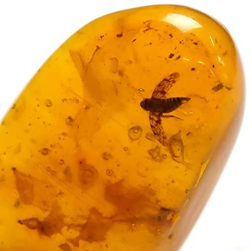 ドミニカ産琥珀　虫入り琥珀　約4・5グラム ドミニカ産天然虫入り琥珀 04 利中天然石