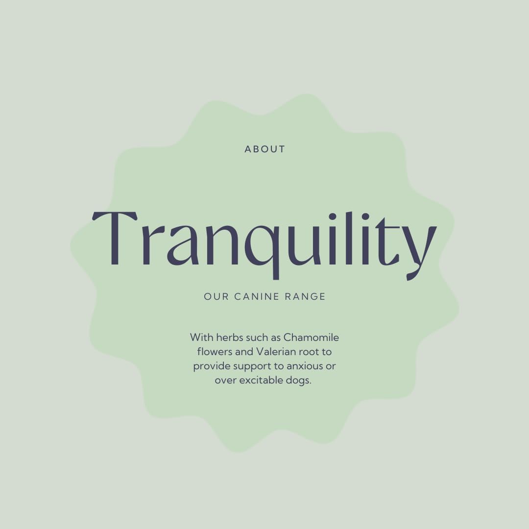 Hilton Herbs Canine Tranquility Supplement for Anxiety/Nerves/Stress in Dogs, 4.4 oz Tub
