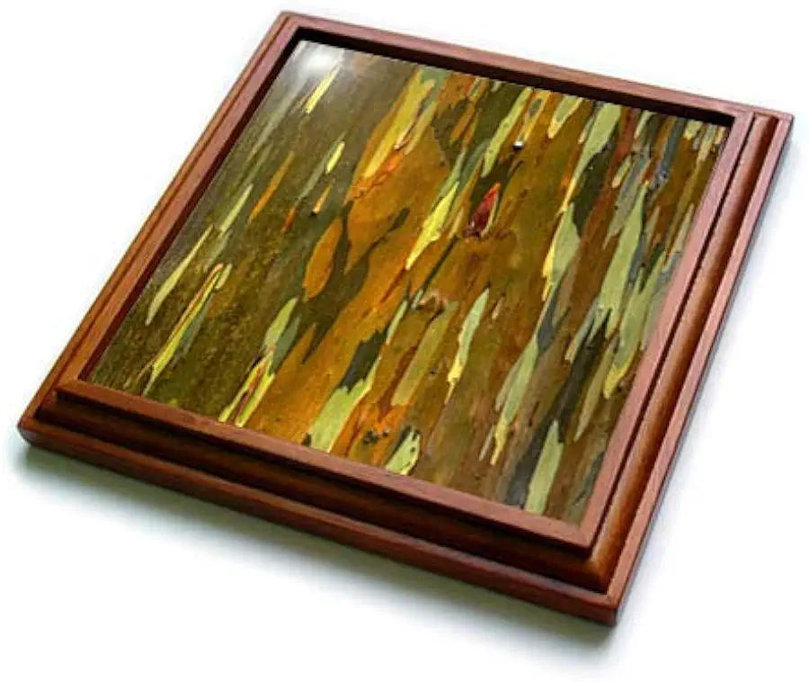 Rainbow Eucalyptus Trivet with Ceramic Tile