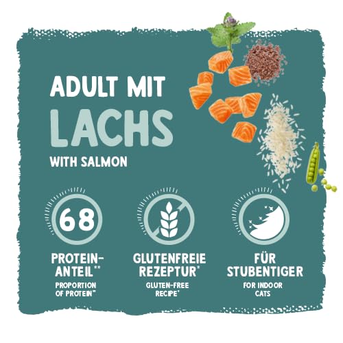 Sanabelle Classic Lachs | Katzentrockenfutter für ausgewachsene Katzen (ab dem 12. Monat) | 1 x 10 kg (Neu) – Ansicht 2
