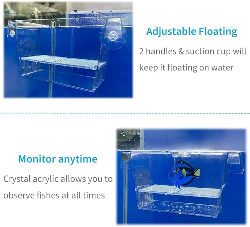 Image of VAYINATO Double Long Guppy Fish Breeding Tank Fish Hatchery Acrylic FH-101 by Petzlifeworld