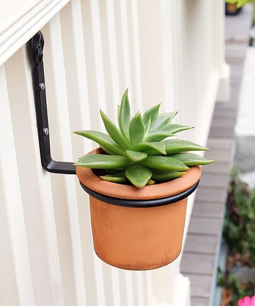 BestNest Achla Wall Mounted Flower Pot Holders, 4" Dia., Case of 6 | Wrought Iron Pot Rings with Black Finish, Predrilled Mounting Tabs | Decorative Wall & Fence Planter Holders for 4" Pots