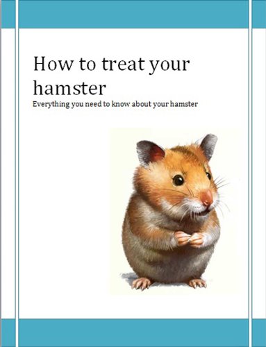 everything you need for a hamster