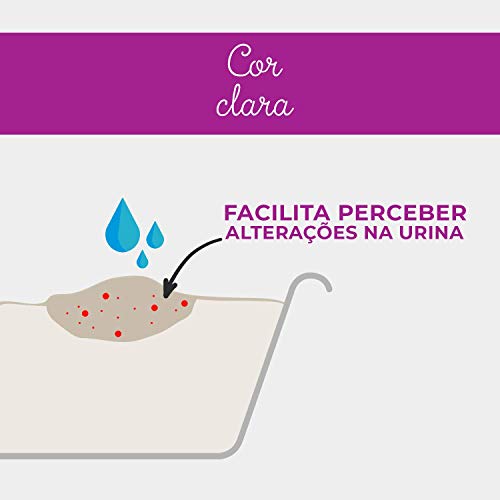 Areia Higiênica Hello Kitty Zero Odor, Biodegradável, Grossa 2 kg