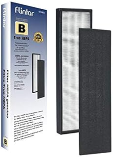 FLT4825 True HEPA Replacement Filter B, Compatible with GermGuardian Air Purifier AC4825 Series, AC4300BPTCA, AC4850PT, AC4900CA, CDAP4500BCA, Oransi Finn, 1-Pack