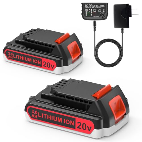 PEYESTEN 2-Pack 20V Battery & Charger