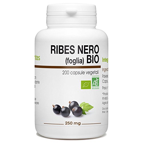 Ribes Nero (Foglia) BIo - Ribes nigrum - 250mg - 200 capsule vegetali