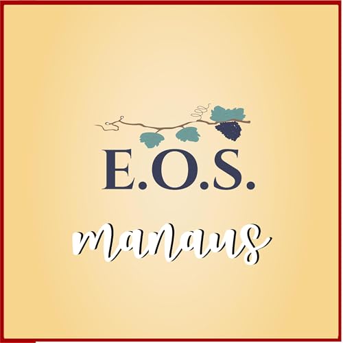 Nas voragens do pecado - Yvonne A. Pereira Podcast Por EOS Manaus arte de portada