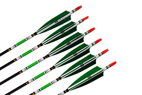 Ttfly Fletching 31 Inch Carbon Arrows Green Turkey Feather Targeting Arrows Archery With Screw-In Field Tips Hunting&Practice(12 Pack) #TOP2