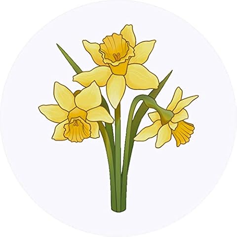 Azeeda 24 x 40mm Round 'Daffodils' Stickers (SK00040239) Cover