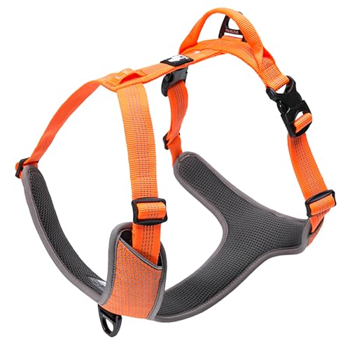 Wanwan Square Garden  n[lX p n[lX  U  3M tNg ^ ^ Truelove uh  \tgpbh ȒP K y tNeBun[lXiIW- Mj