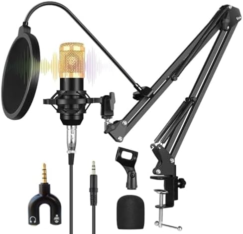 Techtest BM800 Broadcasting Studio Recording Condenser Microphone Mic ...