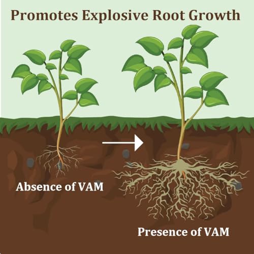 Garden Genie Root Power VAM Mycorrhiza Biofertilizer - Root Stimulant Growth Booster and Development Fertilizer for Plants - 380g, Granules