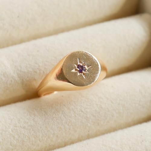 Gempires Purple Amethyst North Star Signet Rings with 14K Gold Plated, February Birthstone, Lightweight, Statement Rings for Women, Simple Everyday Jewelry, US Size-8 - Image 5
