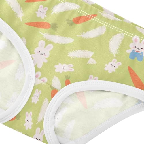 Bunny Rabbit Carrot Dandelion Toddler Girls's Underwear 2T 23006614