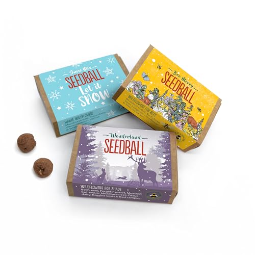 SEEDBALL Wildflower Seed Bombs (Pack of 3 6 Balls Per Box) | Eco Friendly British Wild Flower Seed Mix for Bees Birds & Garden Wildlife | Gardening Gift for Women & Wildlife Supporters