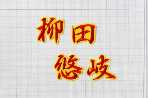 Amazon.co.jp: 柳田 悠岐 ネーム 刺繍 ワッペン ソフトバンク ホークス