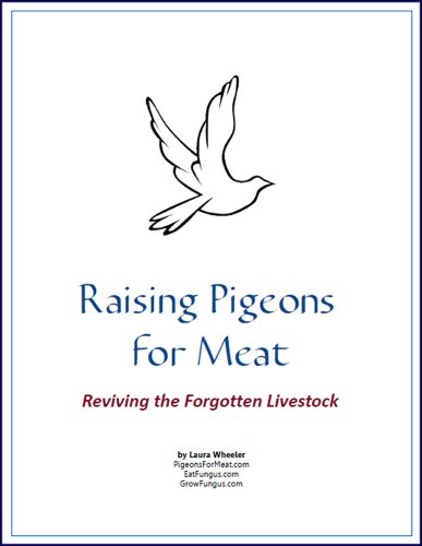 Raising Pigeons for Meat: Reviving the Forgotten Livestock