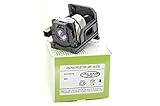 Alda PQ-Premium, Lampada proiettore compatibile con LT60LPK, 50023919, 456-8760 per DUKANE IMAGEPRO 8760, IMAGEPRO 8761 NEC HT1000, HT1000G, HT1100 Proiettori, lampada con modulo
