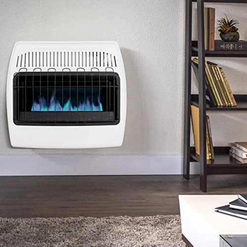 Uty 30,000 Btu Propane / Natural Gas Wall Heater For Indoor Use - Dual Fuel, Vent-Free, White, 28 X 11 X 24 Inches #TOP2