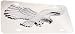Pilot Automotive LP-208 Stainless Steel 3-D Eagle License Plate (ABS Plastic Decal)