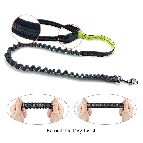 image for WishLotus Waist Pet Leash Outdoor Running Free-Hand Adjustable Waist B