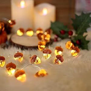 Thanksgiving acorn lights fall garland decorative fairy string lights cute novelty lights 30 leds 10 ft usb or battery operated for bedroom wedding xmas harvest decor  urban country home decor