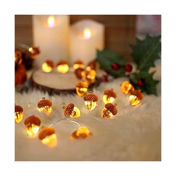Thanksgiving acorn lights fall garland decorative fairy string lights cute novelty lights 30 leds 10 ft usb or battery operated for bedroom wedding xmas harvest decor  urban country home decor