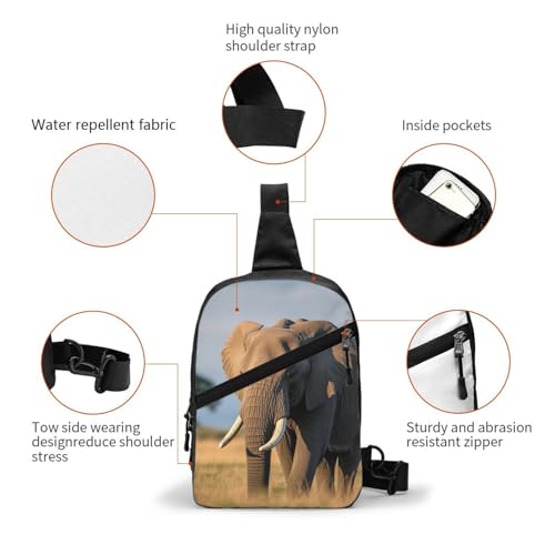 Elephant Print Men's and Women's Foldable Crossbody Bag,Sports Crossbody Bags,and Daily Chest Bags3