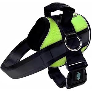 Joyride Harness 2.0 No Pull Dog Harness – Dual Adjustable No Choke Dog Vest for Easy Walks and Training – Custom Name Tag Included – Perfect for Small, Medium & Large Dogs