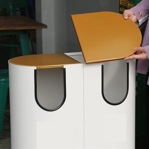 Large Outdoor Trash Can with Gold Lid - Durable Waste & Recycling Bin for Business, Ideal Indoor/Outdoor Garbage Container, Heavy-Duty Design for High Capacity
