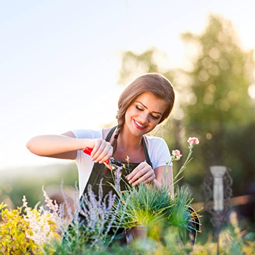 Foto von Relaxdays Regenmesser Vintage, mit Erdspieß, Niederschlagsmesser, antik, 12 cm, 5 inch, Glas, Metall, verziert, bronze