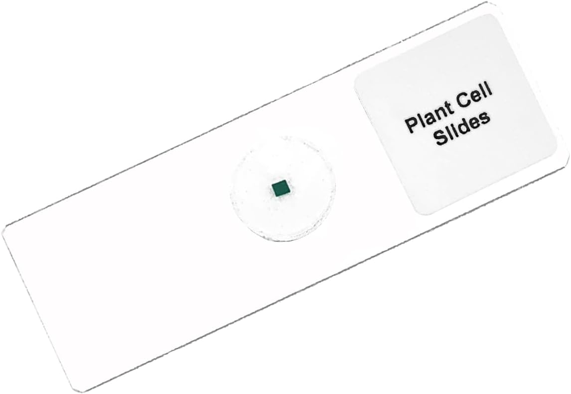 King Mariot Medical Equipments Plant Cell Microscope Slide | Digital Microscope Accessories | School Biology Supplies (1)