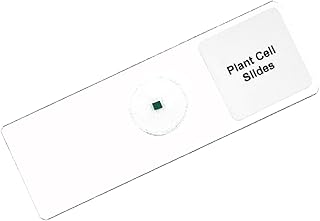 King Mariot Medical Equipments Plant Cell Microscope Slide