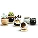 Brajttt 2.1 Inch Succulent Pot with Drainage,Planting/Flower Pots,Small Planter for Mini Plant Ceramic Flowing Glaze Base Serial Set with Holes