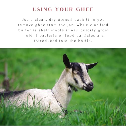 Mt. Capra Goat Milk Ghee | Grass-Fed Clarified Butter High in MCT Oil Perfect for Bulletproof Coffee, Keto, Paleo, and Whole 30 Diets | Pasture Raised and Unsalted | 142 Servings - 24 fl oz - Thumbnail 6