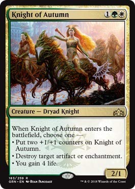 Magic The Gathering - Knight of Autumn (183/259) - Guilds of Ravnica