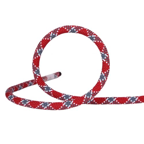 MOUMOUTEN Cuerda de Seguridad,Cuerda de Trabajo en Extensión 10 Metros de Longitud Gris Rojizo Rappelling con 12mm de Diámetro y 29.5KNde Tracción