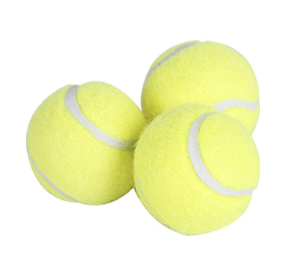 Pack of 6 Dog Tennis Balls Durable Non-Toxic Fetch Balls for Small Medium Dogs Soft Lightweight Safe 5